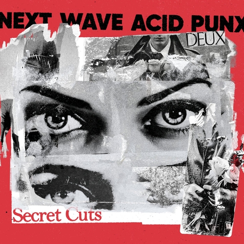 VA - Next Wave Acid Punx DEUX - Secret Cuts [541416667419D]